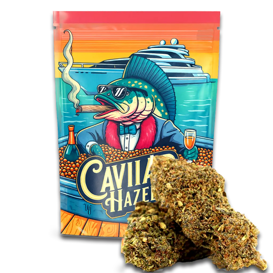 Blommor Magic Sauce 50 Caviar Haze 5 gram