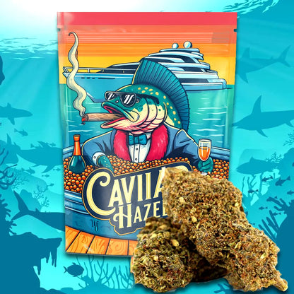 Blommor Magic Sauce 50 Caviar Haze 5 gram