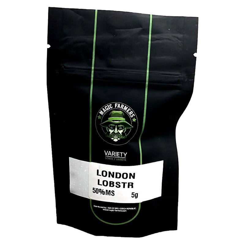 Blommor Magic Sauce 50 London Lobster 5 gram