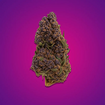 thca_buds_grandaddy purple
