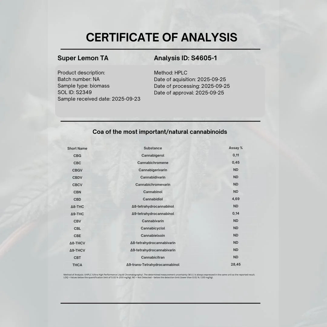 köp thca buds lemon haze lab rapport